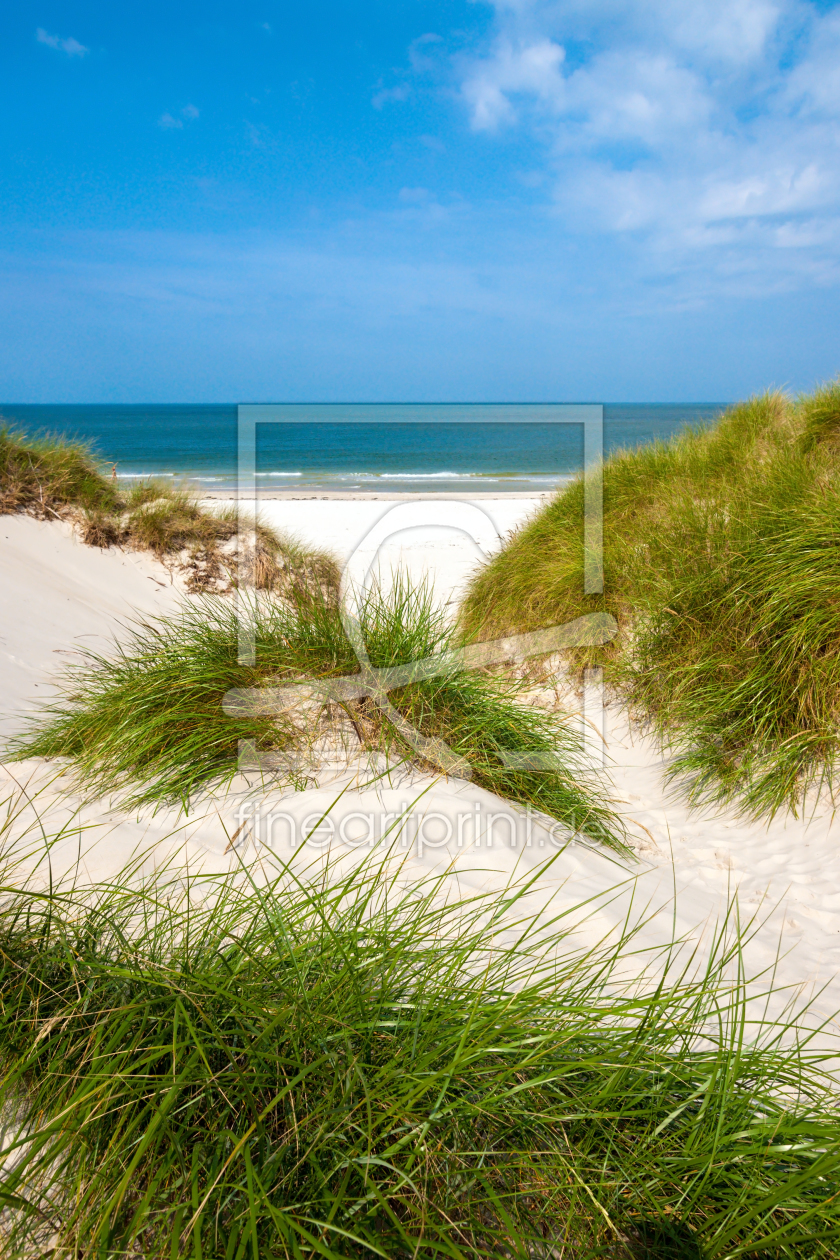 Bild-Nr.: 10903458 Amrum - Idylle in Dünen erstellt von Reiner Würz