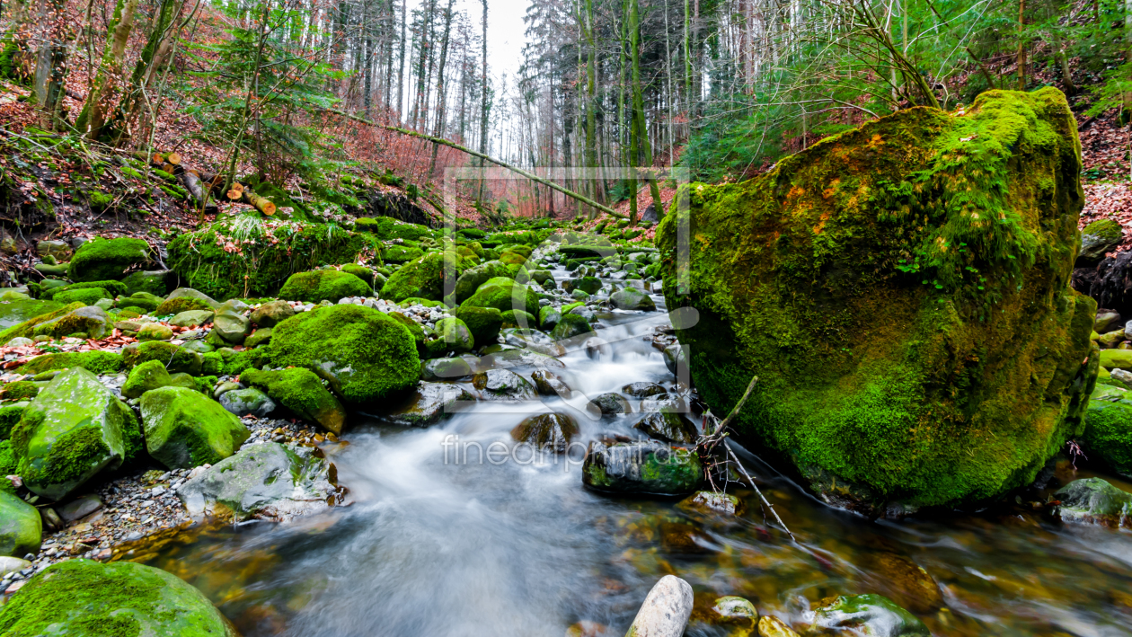 Bild-Nr.: 10904070 Mossdream erstellt von deepermindvision