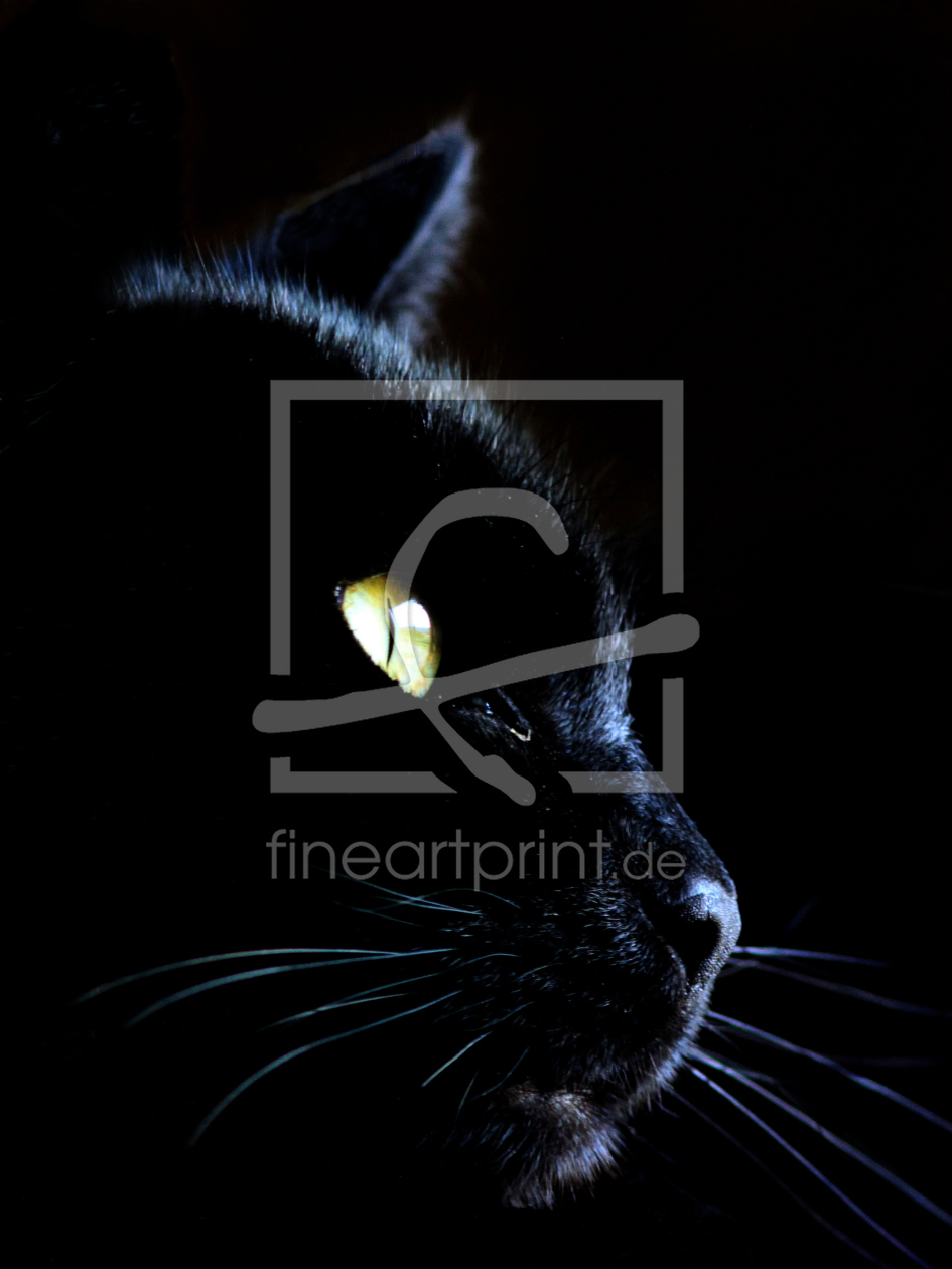 Bild-Nr.: 10911005 Black cat erstellt von littlebear