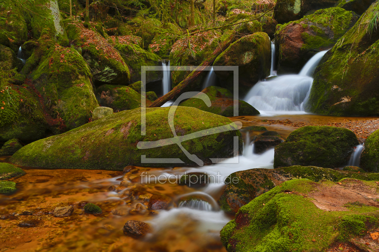 Bild-Nr.: 10912735 Schwarzwaldwasser erstellt von Thomas Herzog