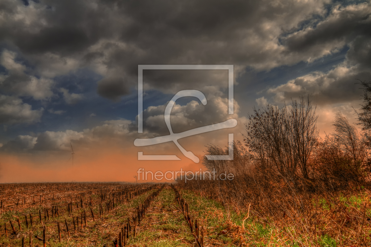 Bild-Nr.: 10914025 Sandsturm II erstellt von PhotoArt-Hartmann