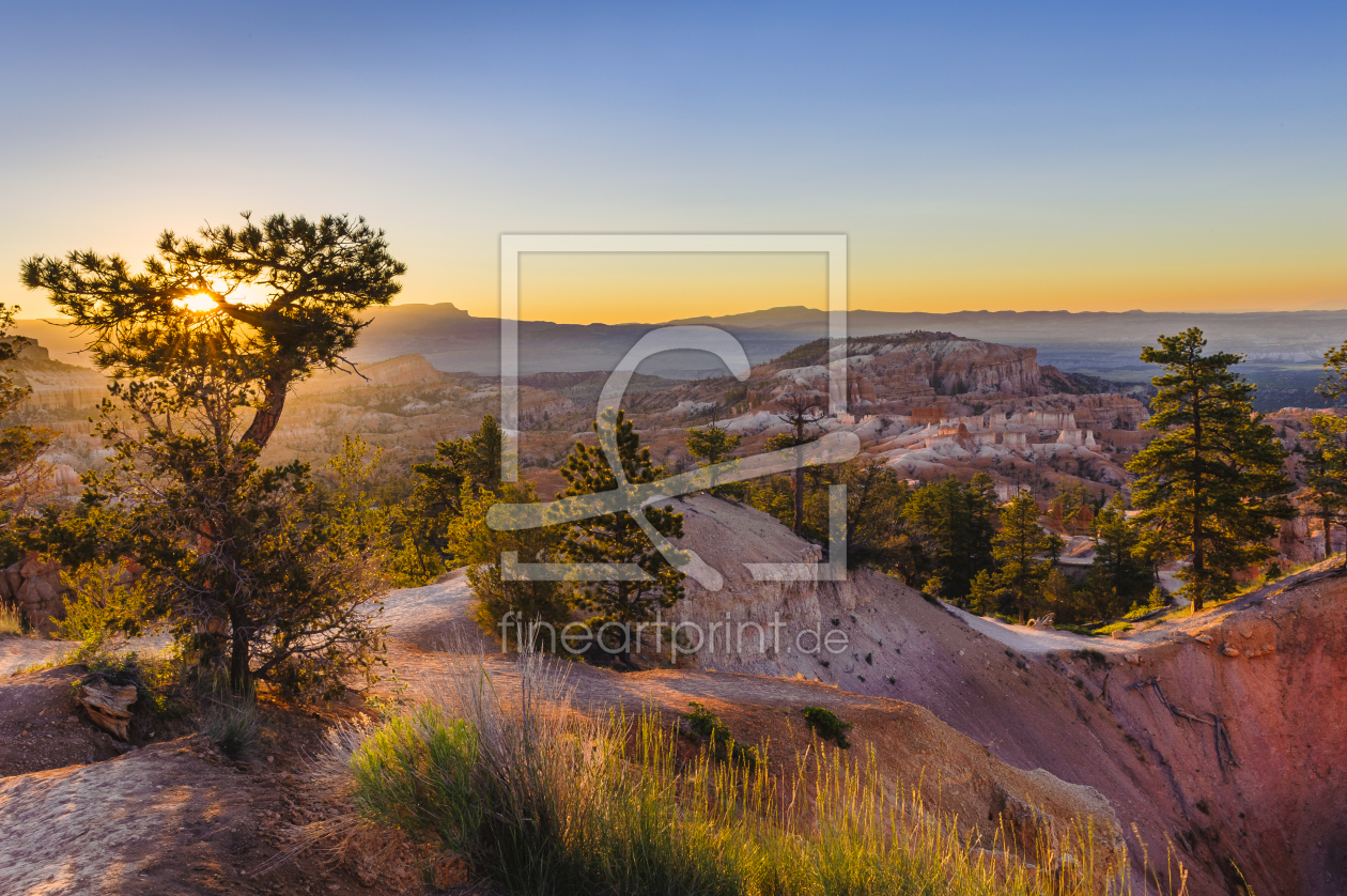 Bild-Nr.: 10914619 Warm light in Bryce Canyon erstellt von DenisFeiner