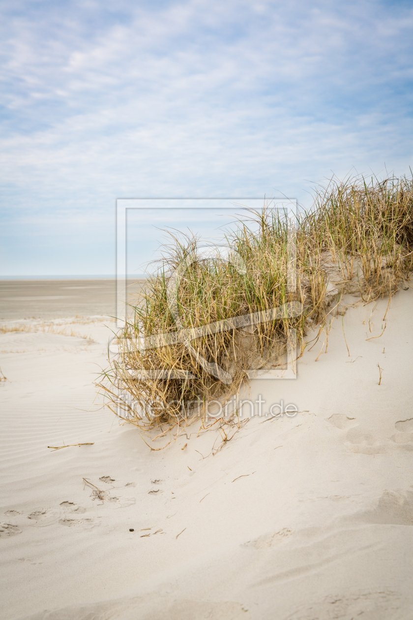 Bild-Nr.: 10915127 Düne St. Peter Ording erstellt von goekce-narttek