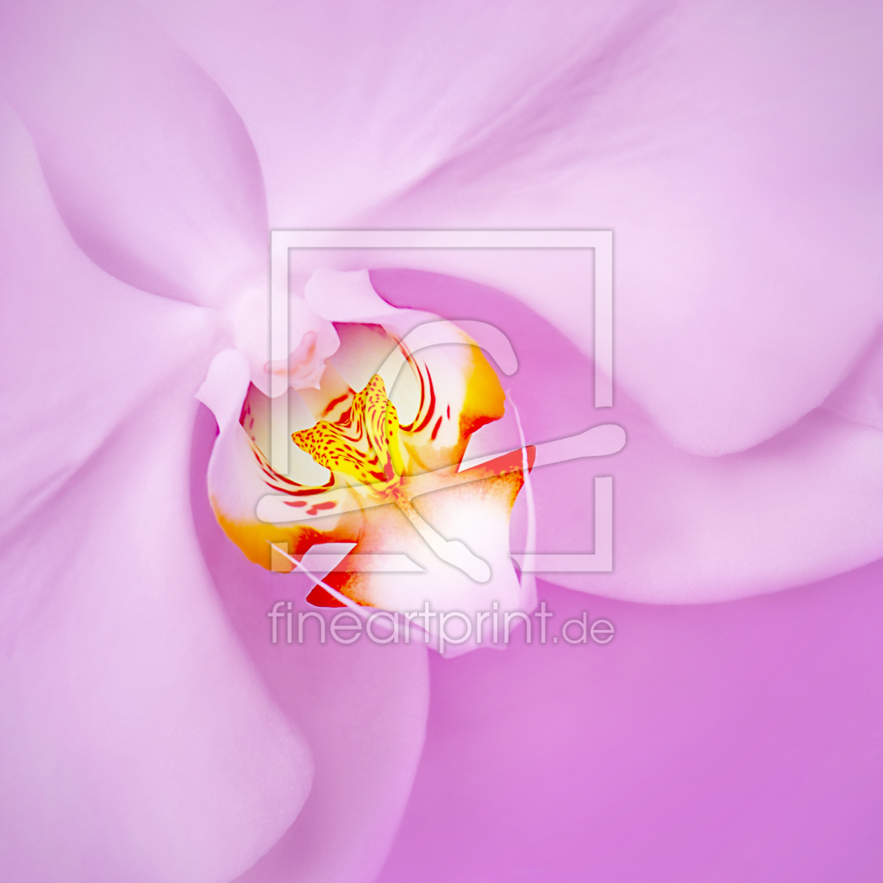 Bild-Nr.: 10917401 Orchidee erstellt von Atteloi