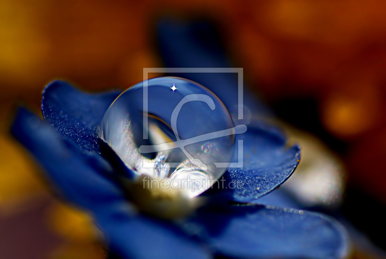 Bild-Nr.: 10922025 Blue erstellt von youhaveadream