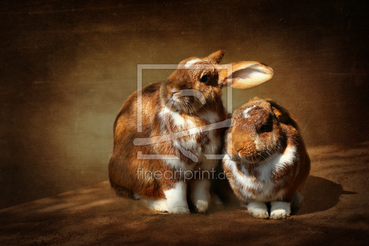Bild-Nr.: 10923417 Zwei Hasen  erstellt von Heike Hultsch