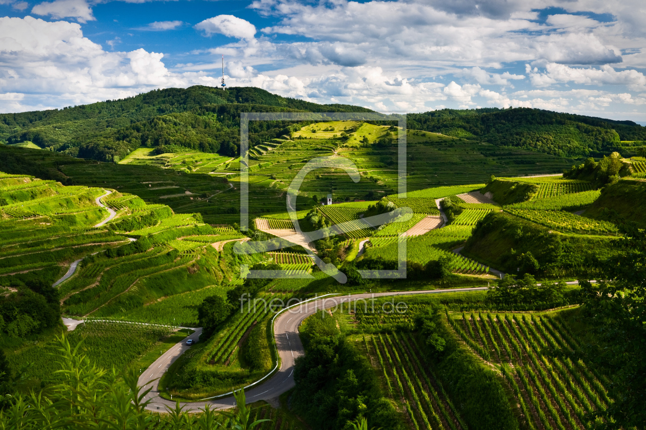 Bild-Nr.: 10927569 Kaiserstuhl Frühlings Idylle erstellt von Andreas Andreas Wonisch