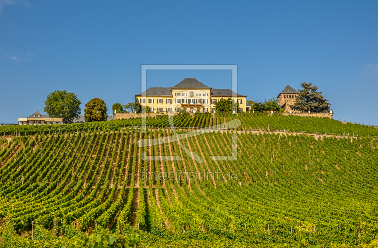 Bild-Nr.: 10927641 Schloss Johannisberg 03 erstellt von Erhard Hess