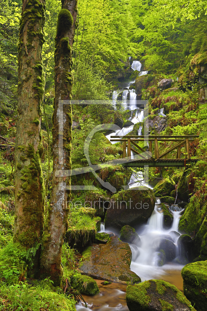 Bild-Nr.: 10931423 Das Lied des Wasserfalls erstellt von Thomas Herzog