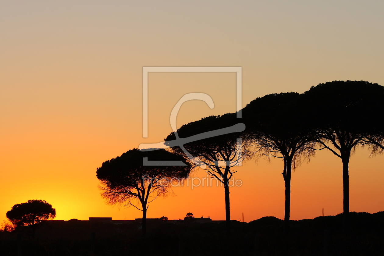 Bild-Nr.: 10938689 Sonnenuntergang über Andalusien erstellt von DieWernerin
