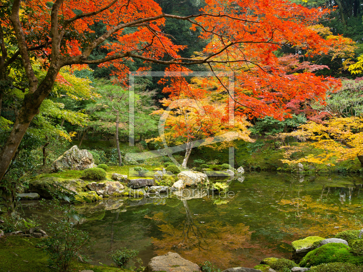 Bild-Nr.: 10941267 Japanischer Garten im Herbst erstellt von eyetronic