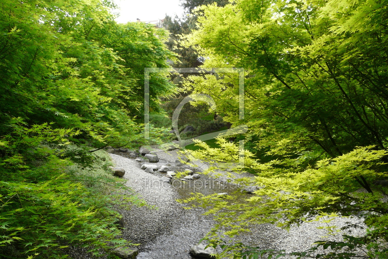 Bild-Nr.: 10942347 Bachlauf erstellt von kalkgrund