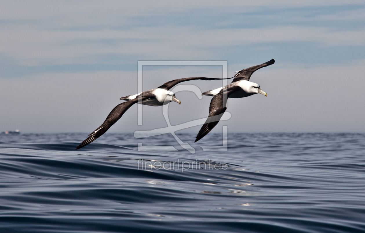 Bild-Nr.: 10946559 Formations Flug erstellt von ollyw