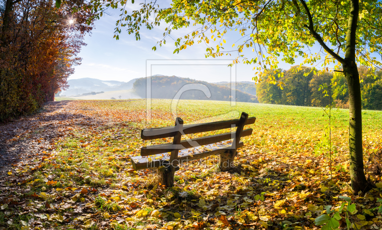 Bild-Nr.: 10946813 Goldener Herbst erstellt von eyetronic