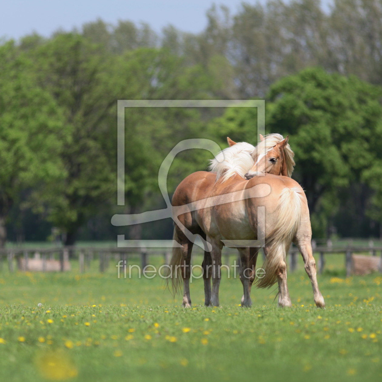 Bild-Nr.: 10954567 Tierliebe erstellt von FotoDeHRO