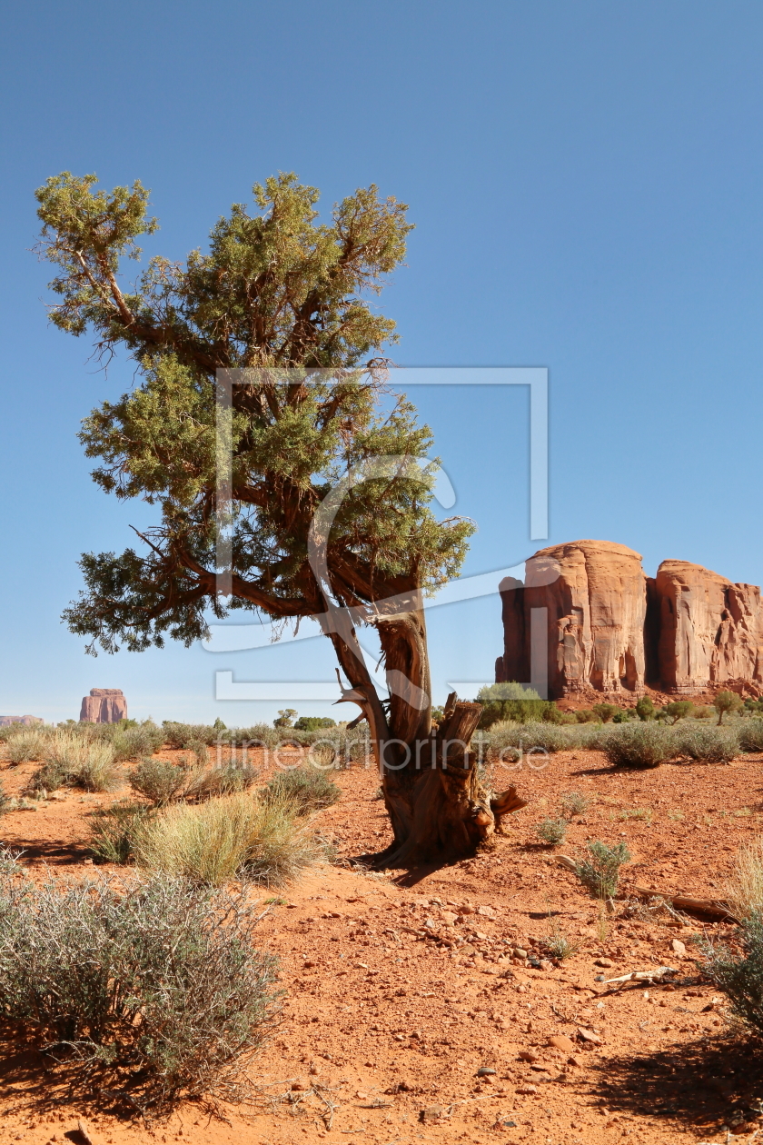 Bild-Nr.: 10958503 Monument Valley erstellt von fotoping