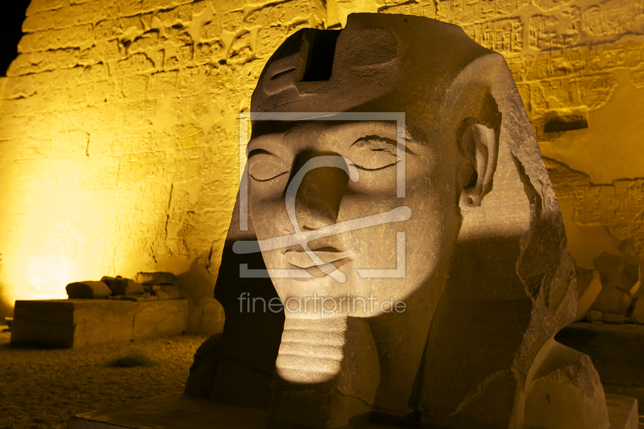 Bild-Nr.: 10959135 Ramses Statue vor dem Luxor Tempel, Ägypten erstellt von danielgiesenphotography