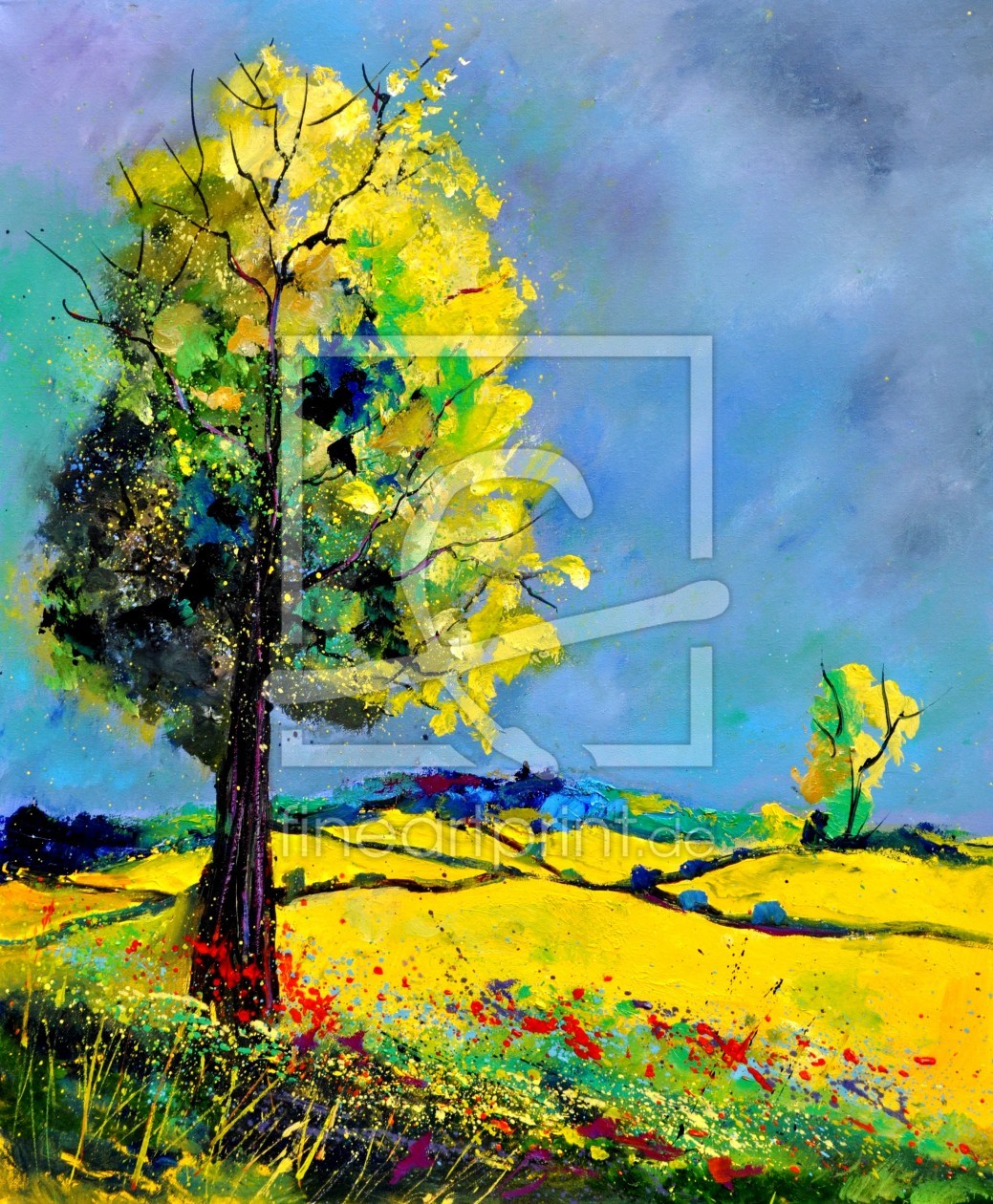 Bild-Nr.: 10960613 Summer 563160 erstellt von Pol Ledent