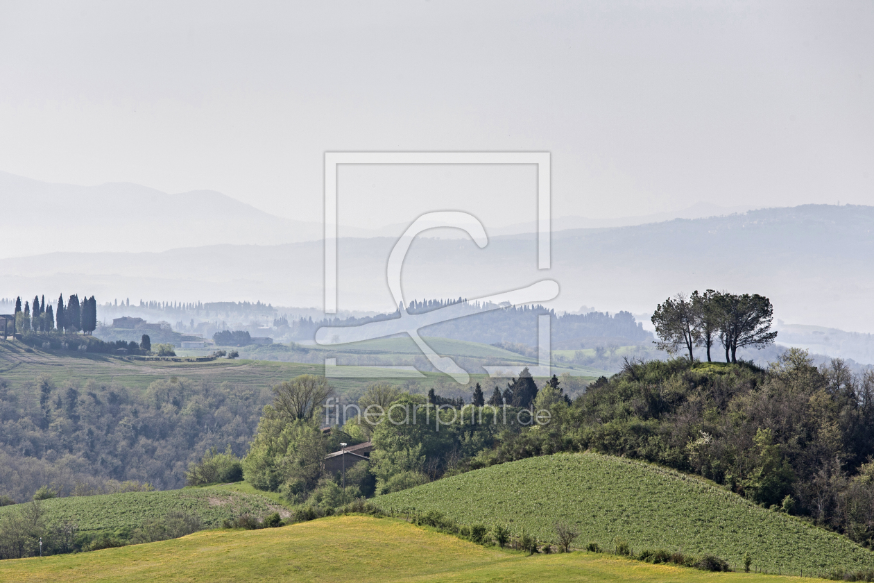 Bild-Nr.: 10961909 Morgen in der Crete Senesi erstellt von EderHans