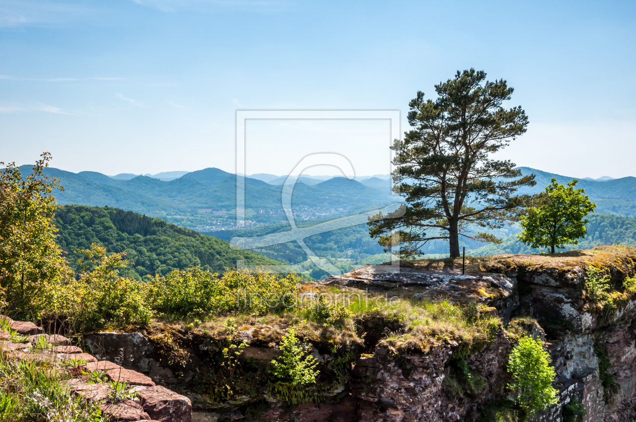 Bild-Nr.: 10963293 Neu-Scharfeneck - 43 erstellt von Erhard Hess