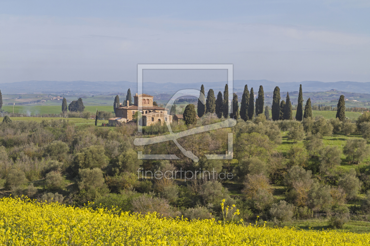 Bild-Nr.: 10964127 Im Val di Orcia erstellt von EderHans