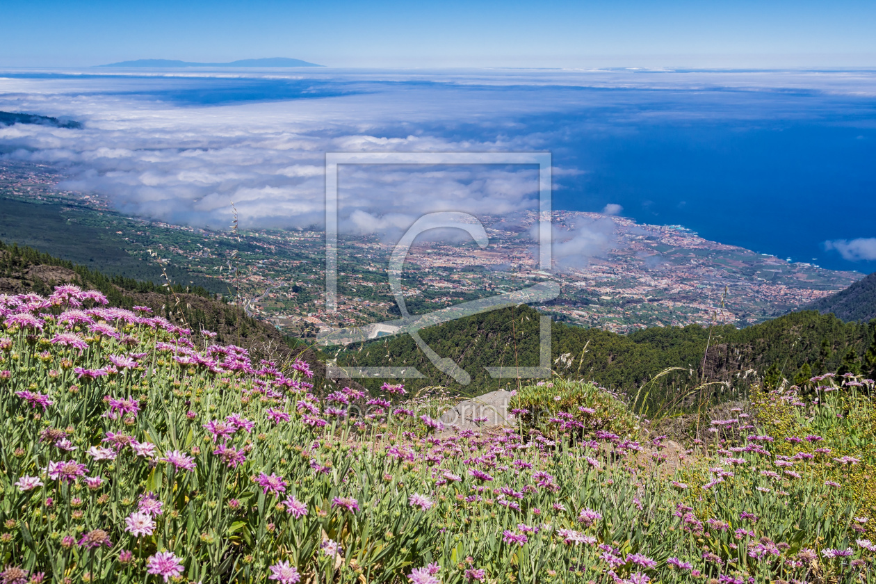 Bild-Nr.: 10965229 Blick auf Puerto de la Cruz erstellt von Rico Ködder