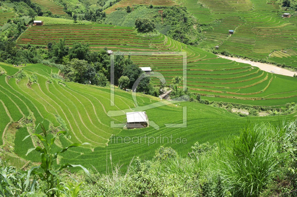 Bild-Nr.: 10965851 Reisterrassen in Nordvietnam erstellt von danielgiesenphotography