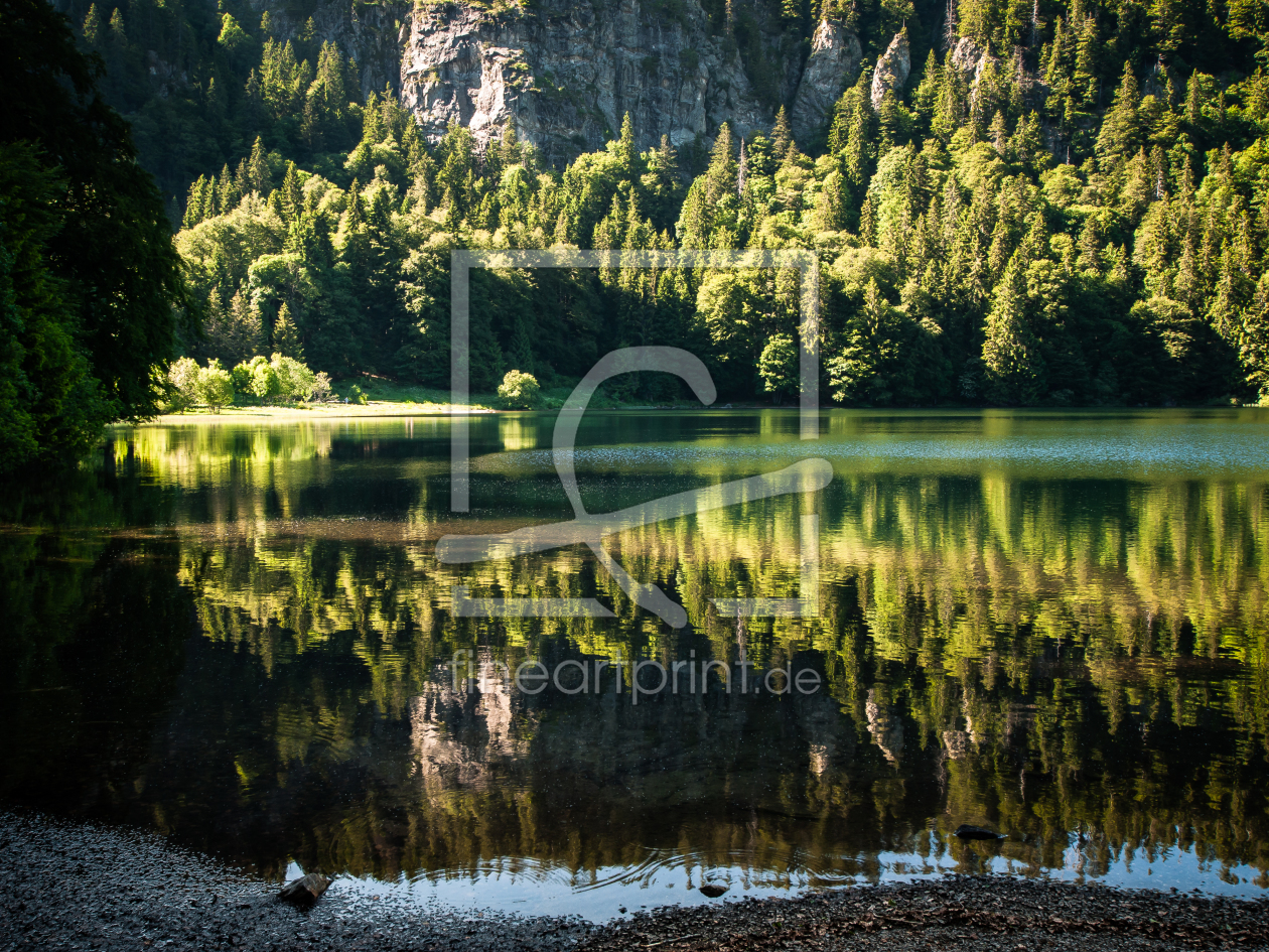 Bild-Nr.: 10972744 Seeblick erstellt von Andreas Andreas Wonisch