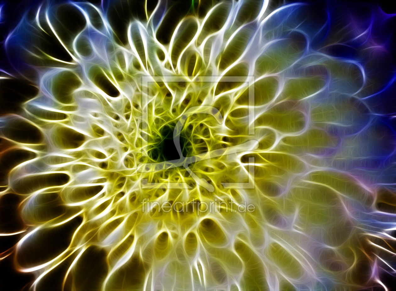 Bild-Nr.: 10973006 Dahlia Fantasien erstellt von Renate Knapp