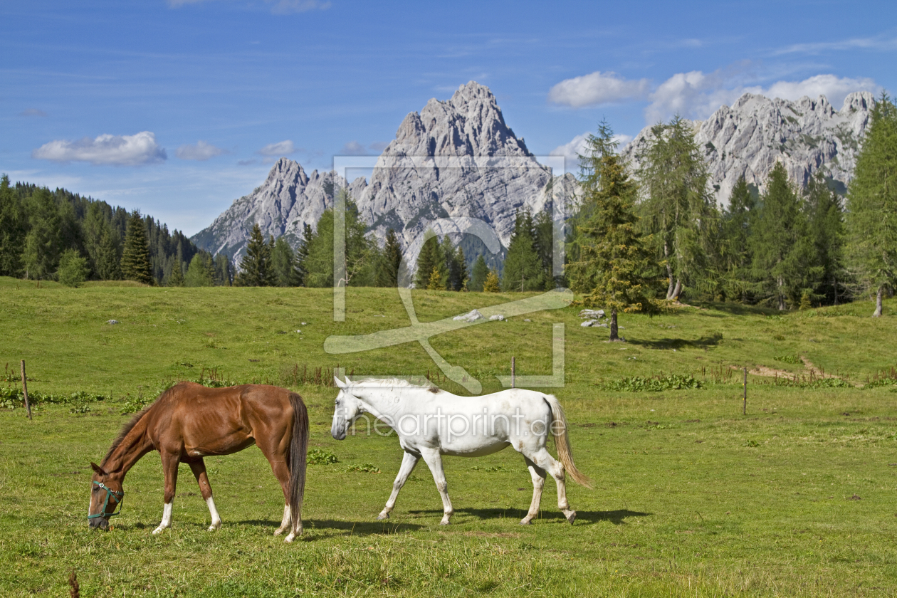 Bild-Nr.: 10974256 Pferdesommer in den Dolomiten erstellt von EderHans