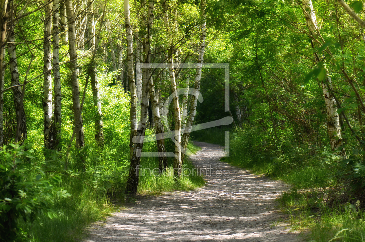 Bild-Nr.: 10975540 Im Wald erstellt von Atteloi