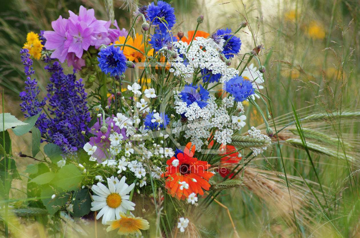 Bild-Nr.: 10976486 Wildblumenstrauß erstellt von Tanja Riedel