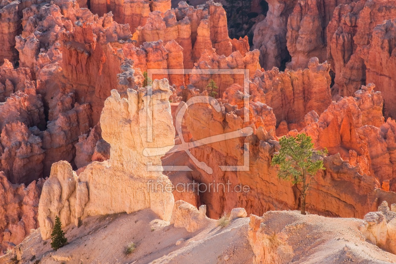 Bild-Nr.: 10977828 Bryce Canyon erstellt von TomKli