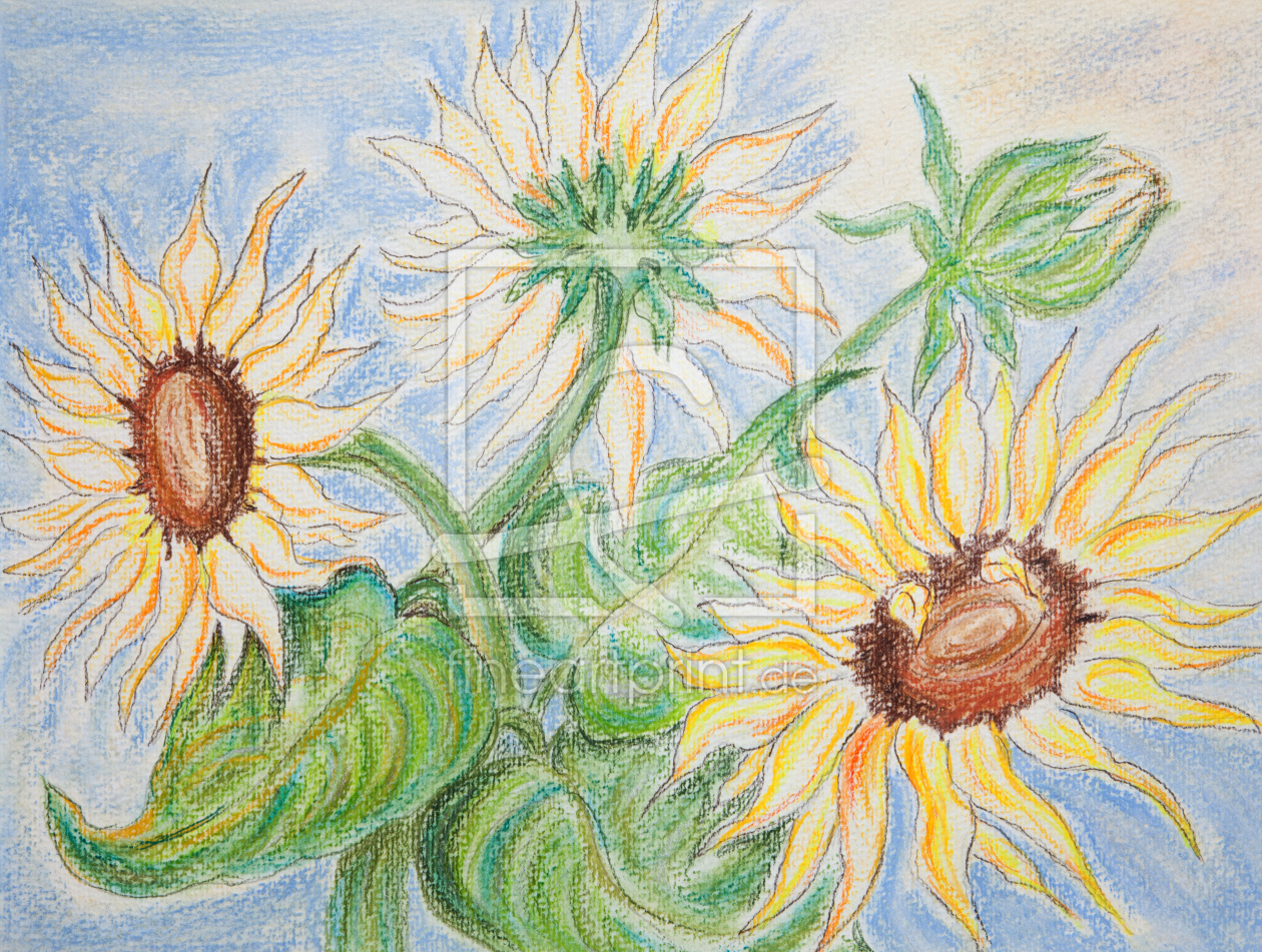 Bild-Nr.: 10978036 Sonnenblumen erstellt von Christian Thieme