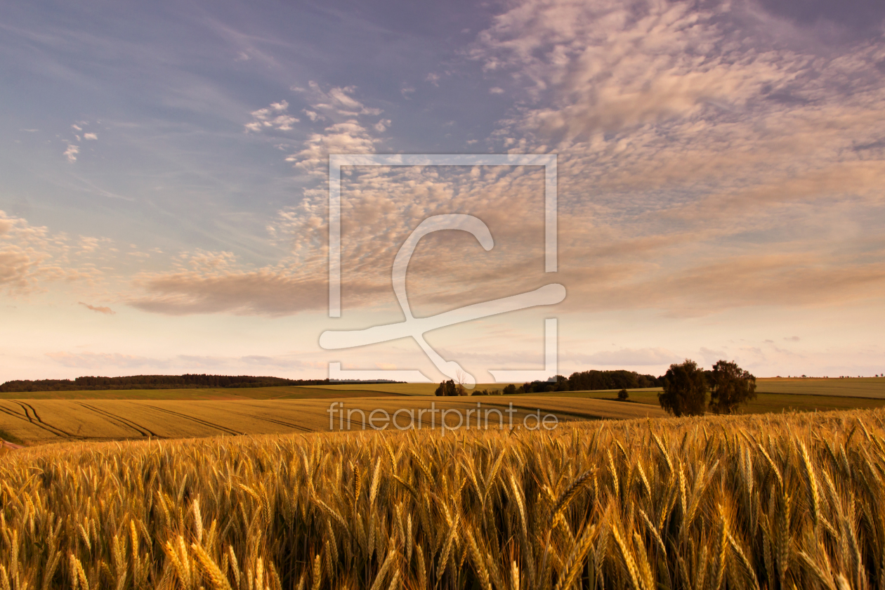 Bild-Nr.: 10978500 Feldlandschaft erstellt von Kay Hecker