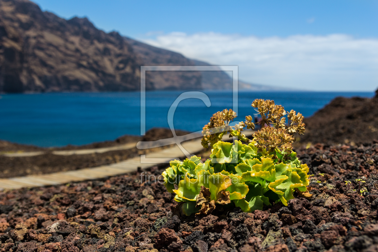 Bild-Nr.: 10978506 Faro de Teno erstellt von orcinus