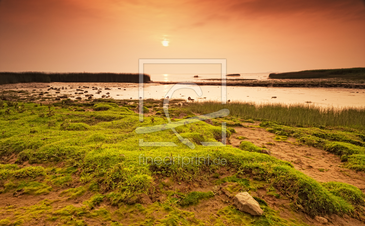 Bild-Nr.: 10978580 Golden Light on the river erstellt von Nordbilder