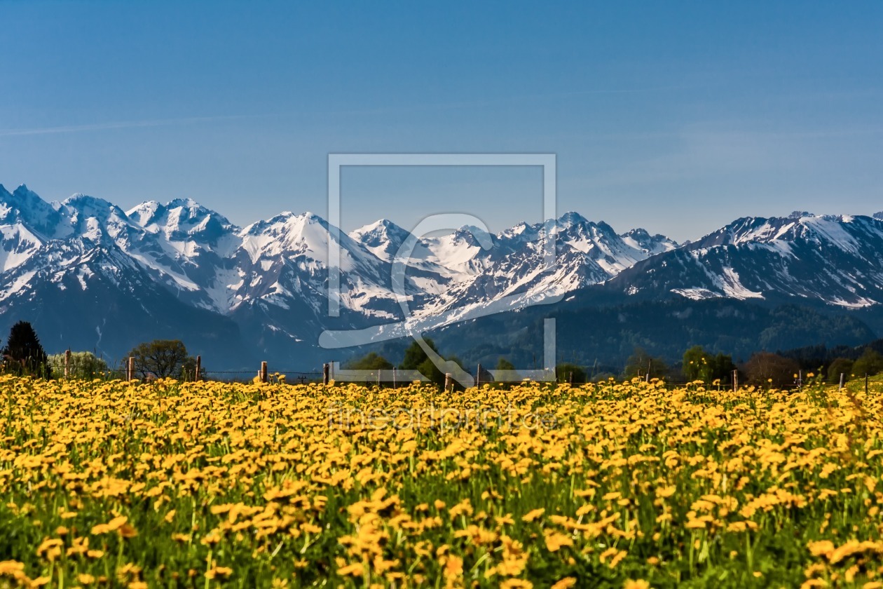 Bild-Nr.: 10978702 Allgäuer Wiese erstellt von TomKli