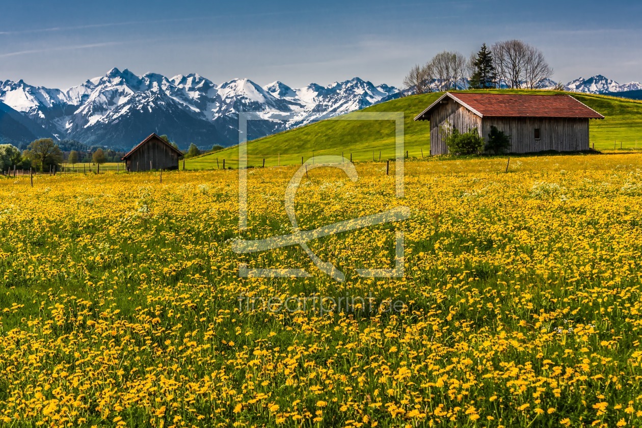 Bild-Nr.: 10978716 Allgäuer Wiese erstellt von TomKli