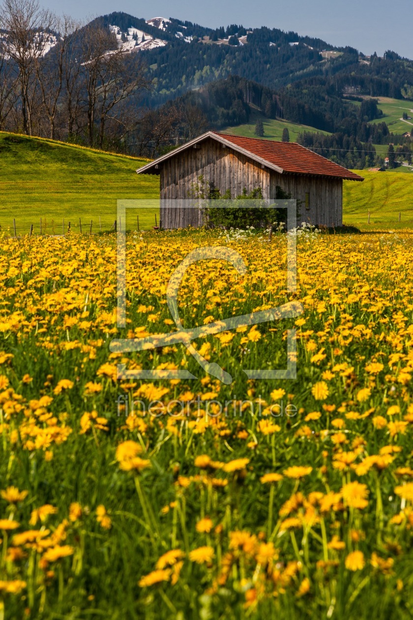 Bild-Nr.: 10978750 Allgäuer Wiese erstellt von TomKli