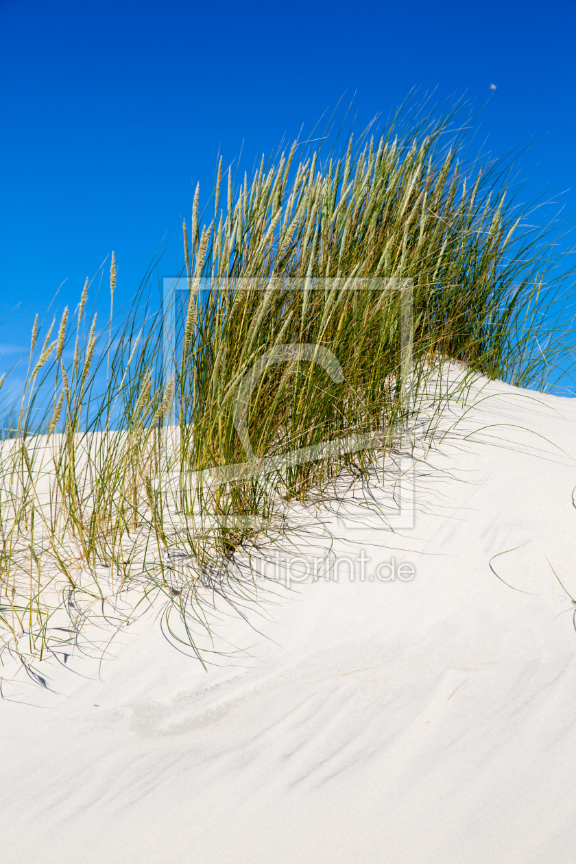 Bild-Nr.: 10982722 Düne samt Dünengrass  erstellt von goekce-narttek