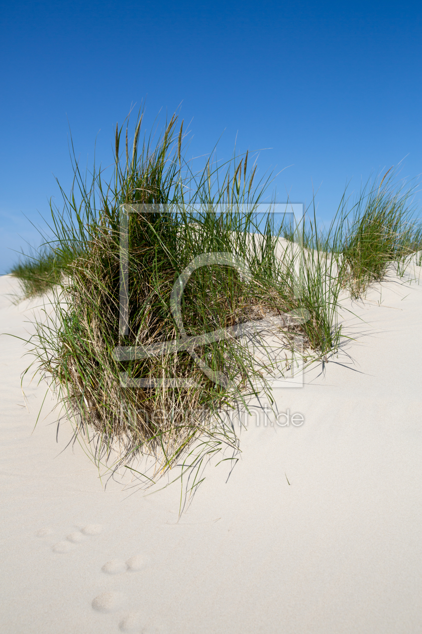 Bild-Nr.: 10982744 Dünengrass und sandige Dünen auf Norderney, Deutschland erstellt von goekce-narttek