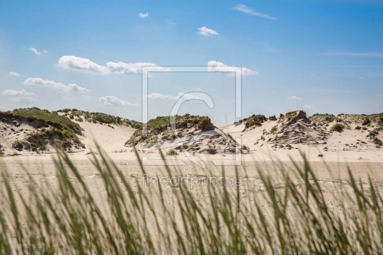 Bild-Nr.: 10984914 Dünenlandschaft auf Norderney, Deutschland erstellt von goekce-narttek