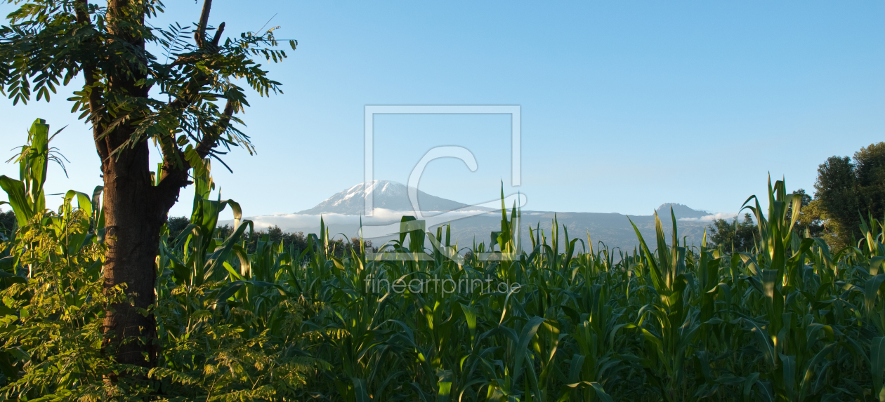 Bild-Nr.: 10986970 Kilimanjaro erstellt von Klaus Schäfer