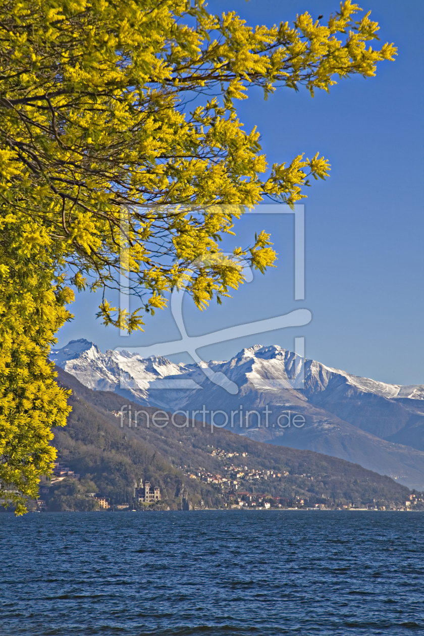 Bild-Nr.: 10987926 Frühling am Comer See erstellt von EderHans