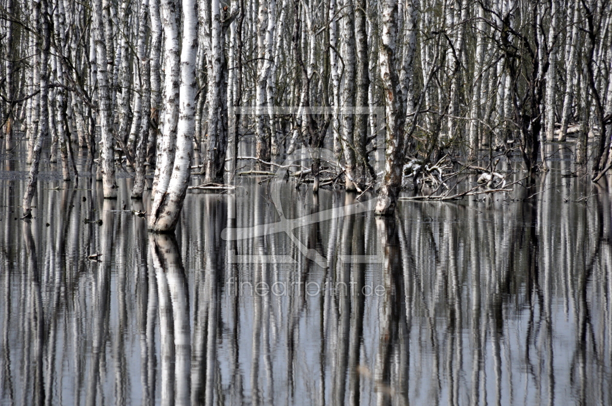 Bild-Nr.: 10991156 .. im Wasser .. erstellt von GUGIGEI