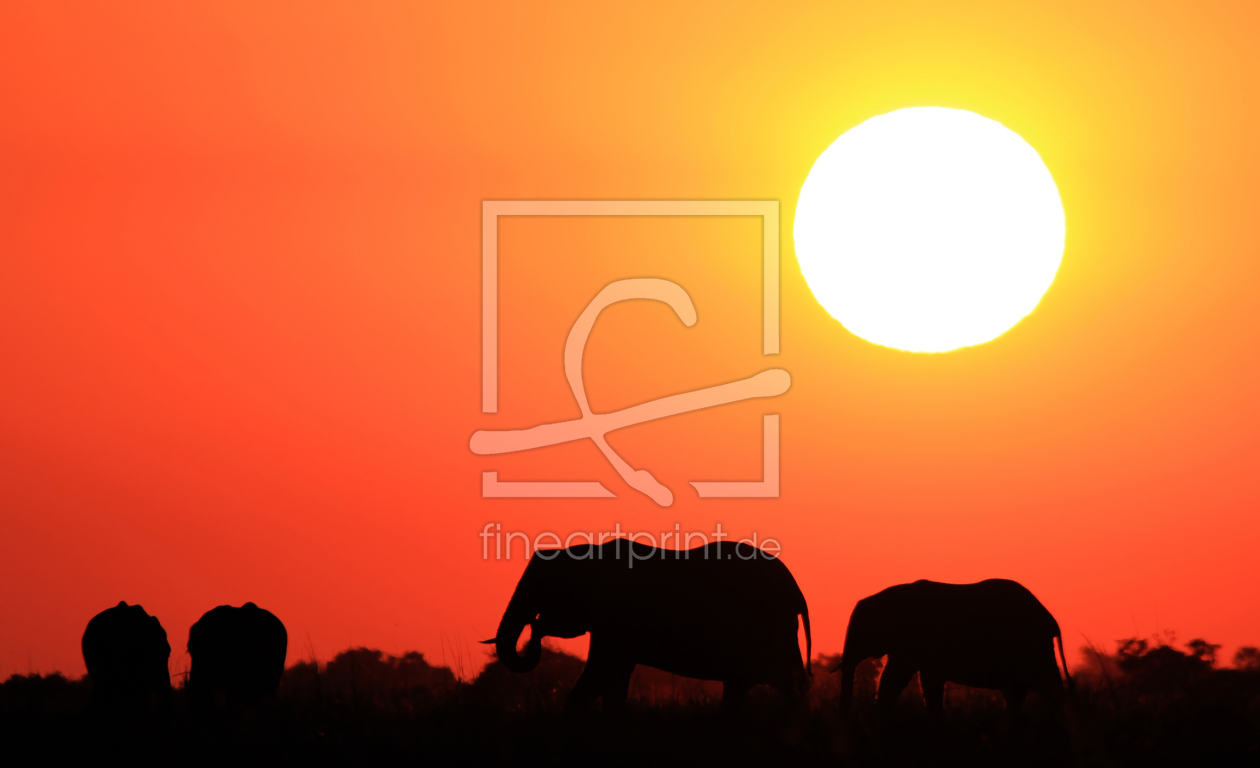 Bild-Nr.: 10993556 African Sunset erstellt von Manuel Schulz