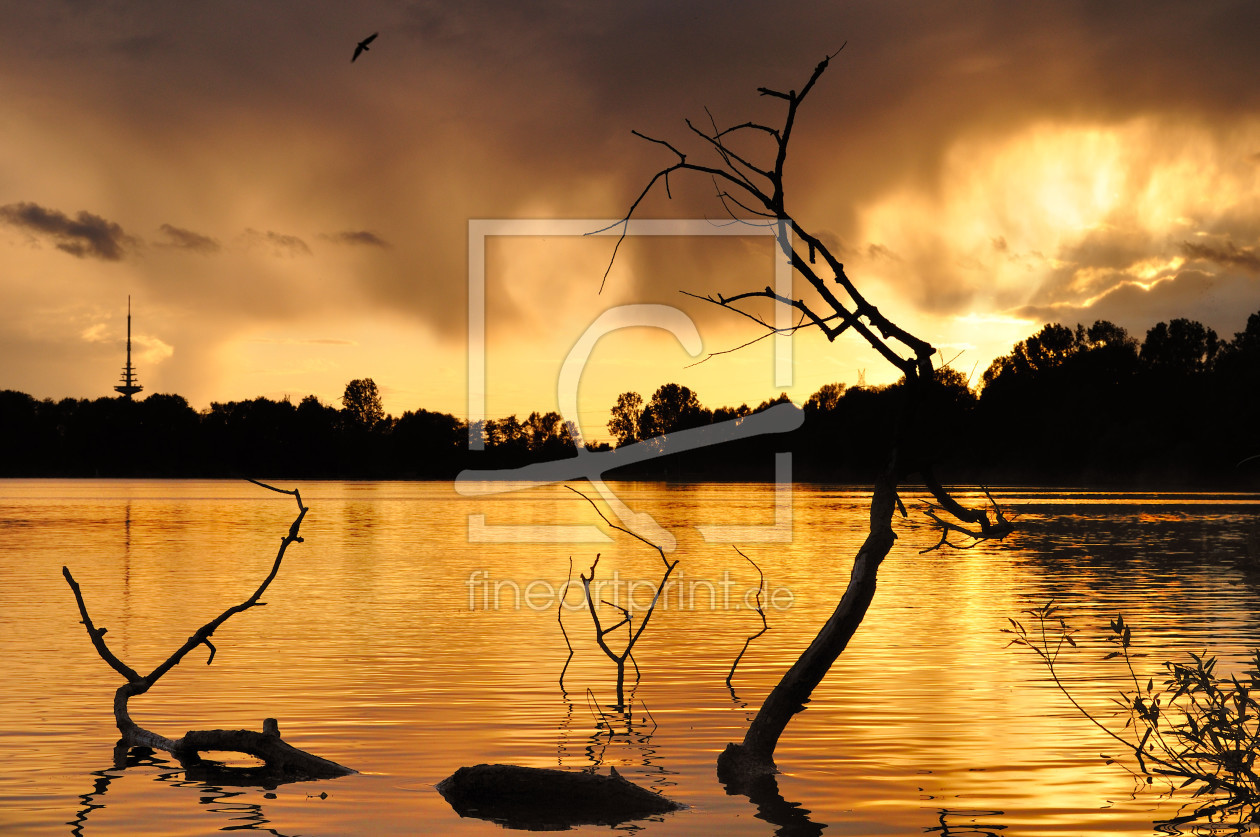 Bild-Nr.: 10998358 Stadtwaldsee under storm erstellt von alvarosoto