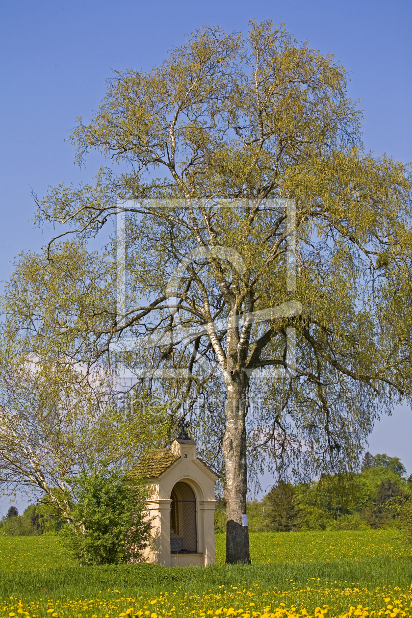 Bild-Nr.: 10999900 Kreuzwegkapelle erstellt von EderHans