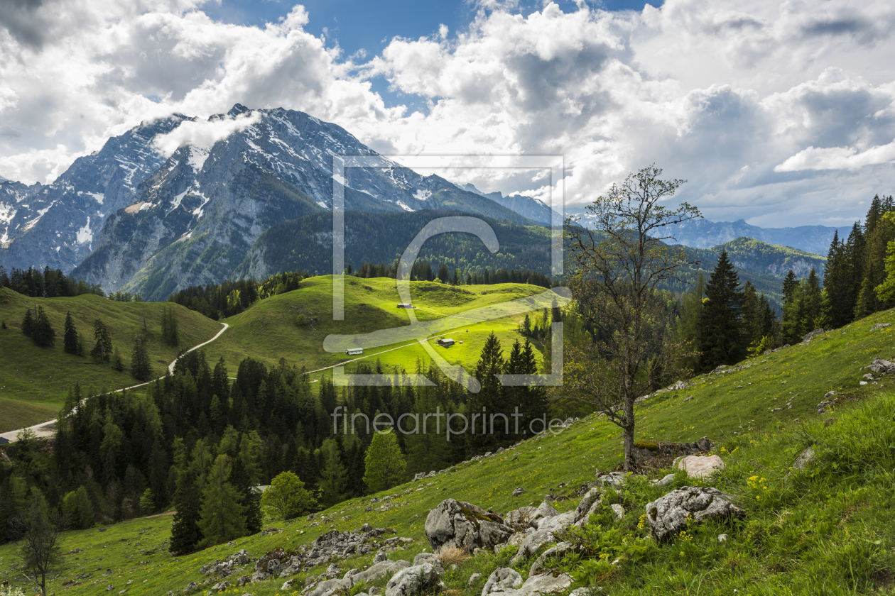 Bild-Nr.: 11000718 Almenlandschaft erstellt von Daniela Beyer